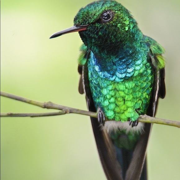 Meet your Posher, Sandra - Picture 3 of 8